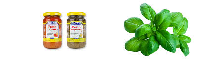 Image result for zuccato pesto genovese